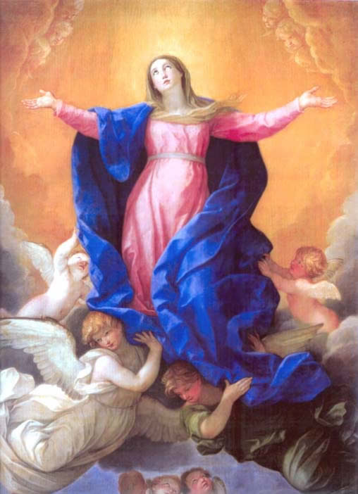 madonnaassunta