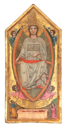 assunzione vergine maria